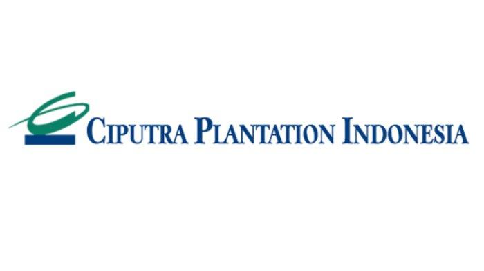 Lowongan-Kerja-Bengkulu-Gaji-13-Juta-Perbulan-di-PT-Ciputra-Plantation-Indonesia-Cek-Syaratnya